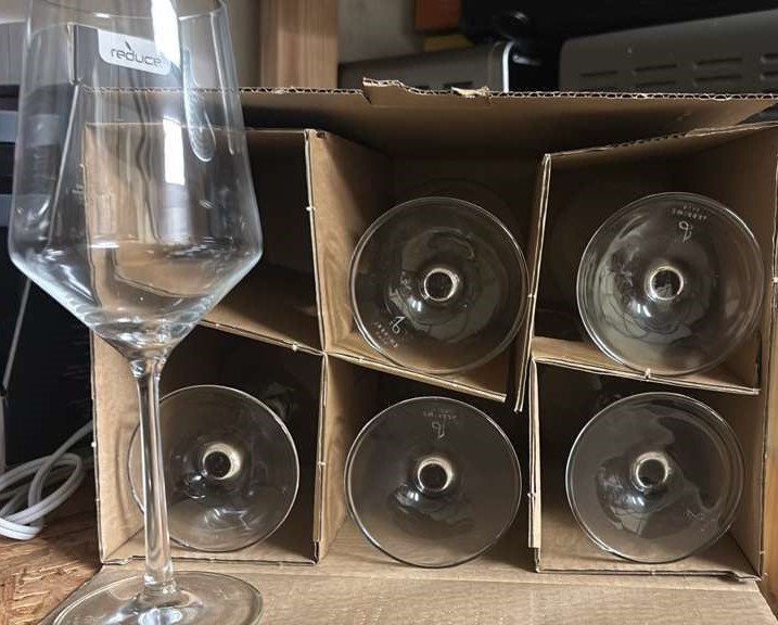 Schott Zwiesel Tritan Pure Sauvignon Blanc Wine Glasses – Set of 6, Crystal Clear, Durable